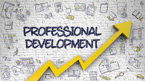 Article Review: Differentiated Instruction, Professional Development ...